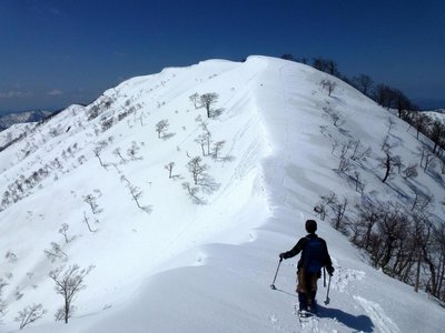 P1020327.JPG (183.09 KiB) 閲覧された回数 10245 回 上谷山山頂まであと少しの登りです