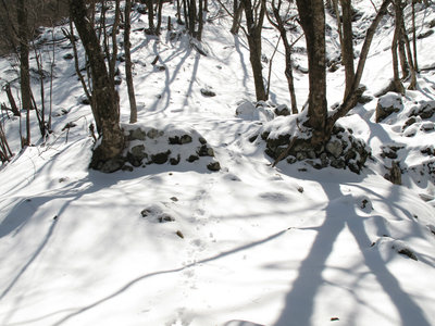 IMG_5144.jpg (460.9 KiB) 閲覧された回数 37844 回 ネコマサノクラ上部の窯跡