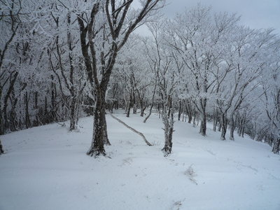 02馬駈ヶ辻近く.JPG (586.36 KiB) 閲覧された回数 7604 回 馬駈ヶ辻近く、モノトーンの世界