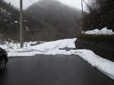 ４月１日池ノ又林道偵察画像