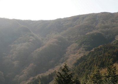 ネコマサノクラ/ホラ・鈴北斜面