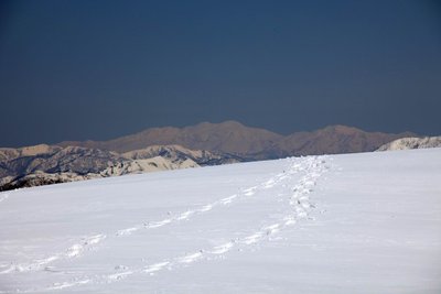 白山と別山が赤く見えています