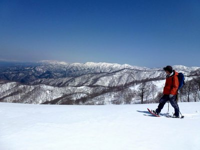 上谷山山頂を越えて江越国境尾根を行く
