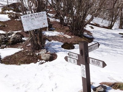 四丁横崖の道標