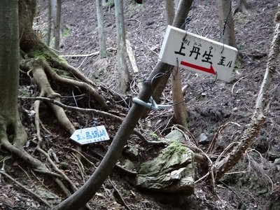 ビン坂峠～上丹生間の道標