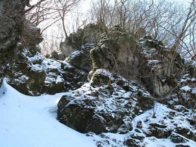 IMG_5152.jpg (781.28 KiB) 閲覧された回数 36637 回 タヌクラ