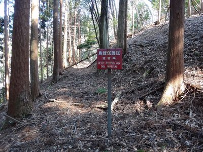 突然道の真ん中に