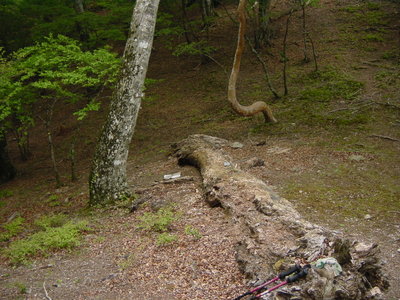 09 05 24_1176(1).JPG