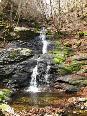 ９８０ｍ左岸の支谷出合