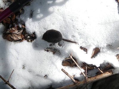 ただいま移動中