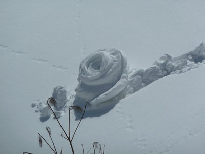 渦巻き雪玉