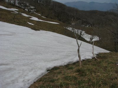テーブル直下　　尻セードしたらヤッホーだね