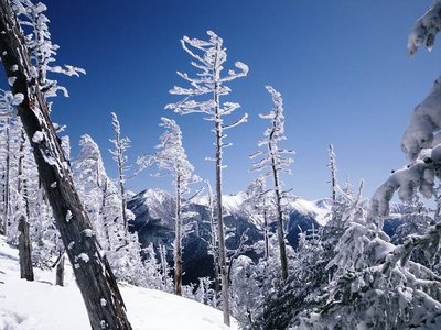 IMGP0169_sh01.JPG (80.8 KiB) 閲覧された回数 8632 回 大棚入山山頂