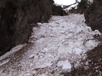 IMG_1399-s.JPG (146.75 KiB) 閲覧された回数 9879 回 デブリフォールに圧倒される