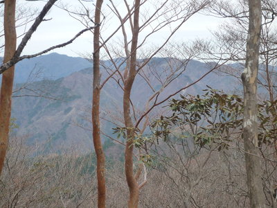 07大杉国見山と池小屋山○(1).JPG (658.97 KiB) 閲覧された回数 6197 回 大杉国見山と池小屋山