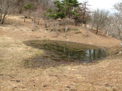 ハートの赤ゾレ池