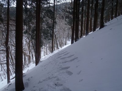 ＭＳＨＷも滑り台