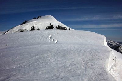 トレースのない県境尾根を小笈に向かっています