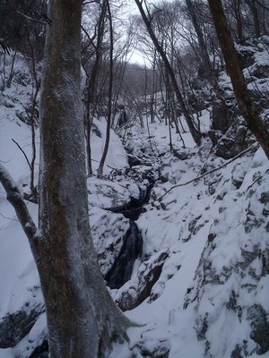口ワサビ谷の滝