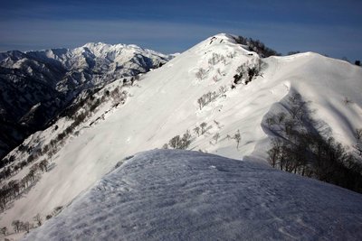 P1626付近から白山とシリタカ山（右）を眺望しています