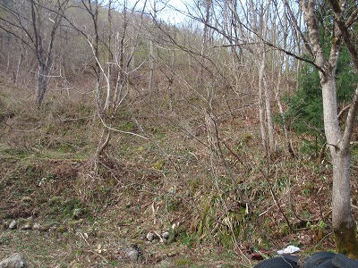 小曽谷左岸の尾根下部