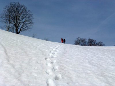 冬瓜平をめざしてトラバース