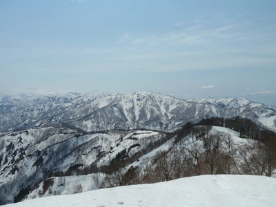 隣から眺めてました