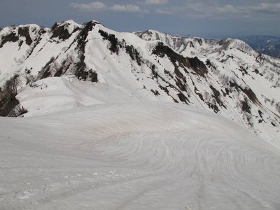 ダイモンが邪魔でおサルが見えね~よ