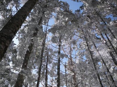 闇下を避けてひたすら下山