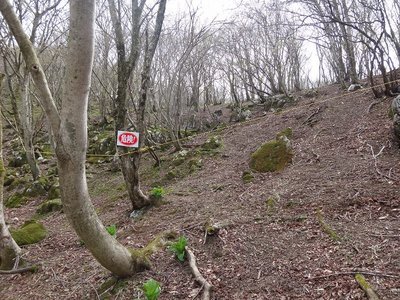 DSC00351.jpg (198.29 KiB) 閲覧された回数 7403 回 小竜の穴