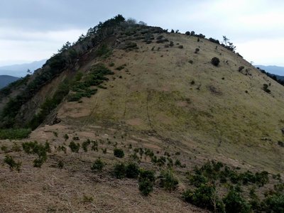 鹿の楽園には幾筋かの獣道があります