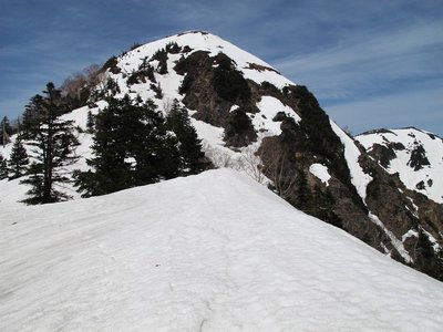 IMG_1610-s.JPG (130.41 KiB) 閲覧された回数 6662 回 兜のような風貌の間名古の頭