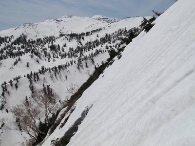 IMG_1623-s.JPG (132.35 KiB) 閲覧された回数 6667 回 雪壁の中でも余裕の撮影!?(ホンマかよ)