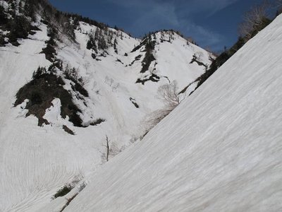 こんな眺めでした