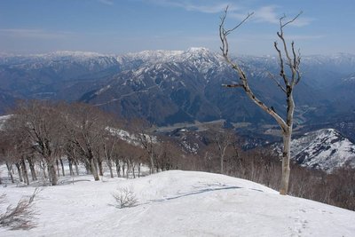 ICからのアクセスがメチャいい山やね