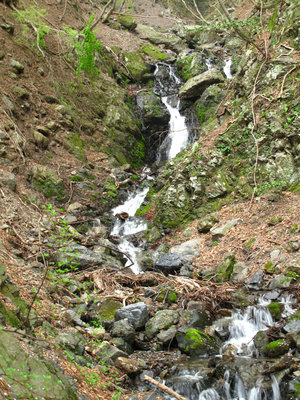 念仏滝上流の滝