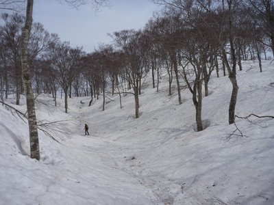 s-P1030771.jpg (451.67 KiB) 閲覧された回数 6113 回 谷からの登り