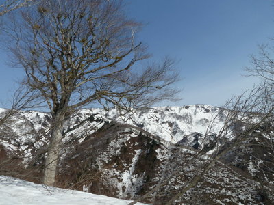 猿ヶ山は遠い～