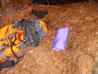 1204道迷い仮の宿.jpg (418.47 KiB) 閲覧された回数 10809 回 仮の宿。針葉樹のマットが快適だった。