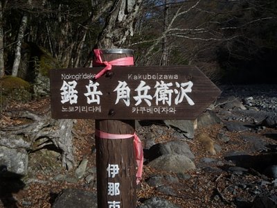 nokogiri260212.jpg (119.9 KiB) 閲覧された回数 4756 回 KARA?がやってきても迷わない