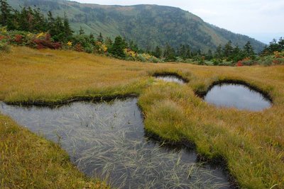 奥の尾根が大戸沢岳かなあ
