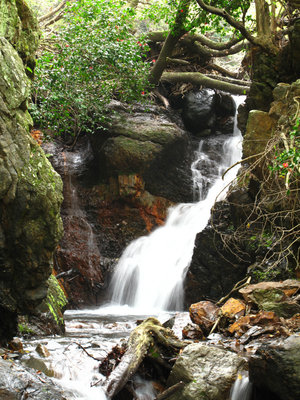三鉱谷の最初の滝