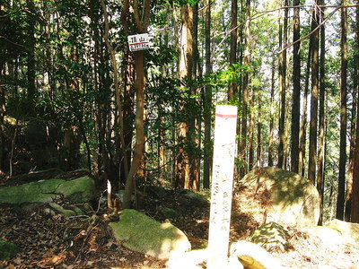 ナンかしら全部忘れていくワン