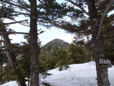 P4210019.JPG (59.49 KiB) 閲覧された回数 7082 回 kazeana