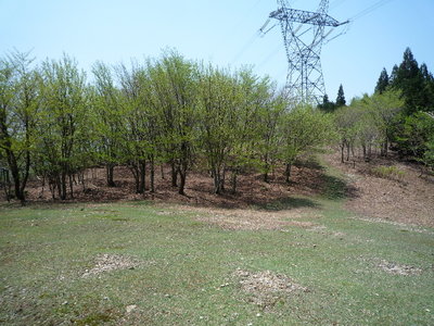 02昼食に使った台地状の草地(1).JPG (747.56 KiB) 閲覧された回数 4290 回 昼食休憩に使った台地状の草地