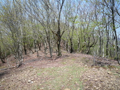 04気持のよい縦走路(1).JPG (949.1 KiB) 閲覧された回数 4285 回 気持のよい縦走路