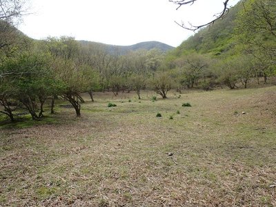 2012050801.jpg (190.12 KiB) 閲覧された回数 16873 回 奥ノ畑1