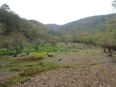 2012050802.jpg (159.99 KiB) 閲覧された回数 16878 回 奥ノ畑2