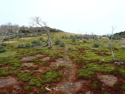 2012050804.jpg (151.5 KiB) 閲覧された回数 16878 回 イブネ