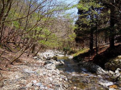 奥ノ平谷源流部。